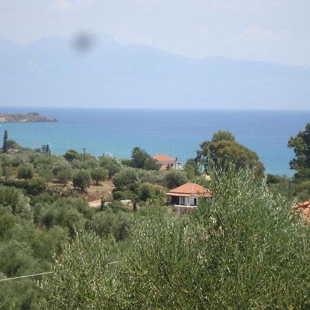 Villa Carisma Livadhákia エクステリア 写真